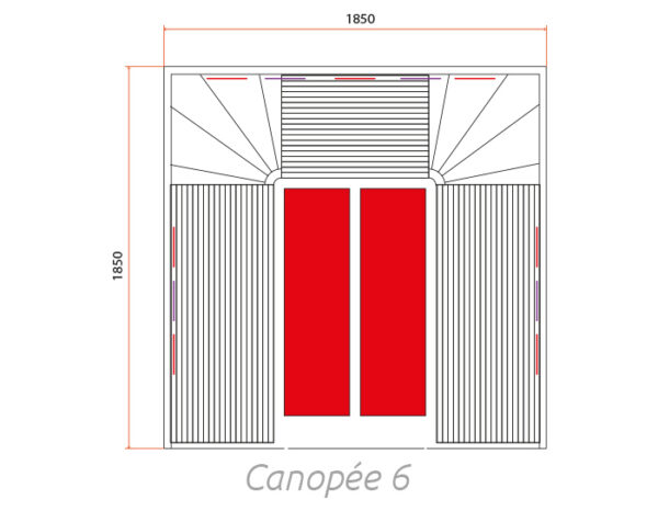 Pianta canopèe 6